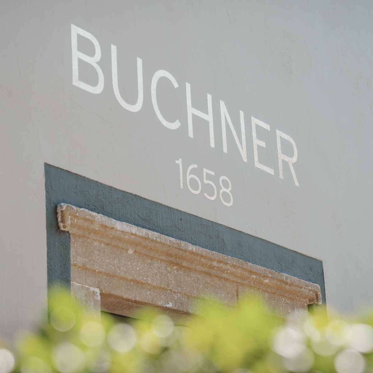 Kreative Wandgestaltung mit harmonischem Farbkonzept – Maler Straubing Innenräume